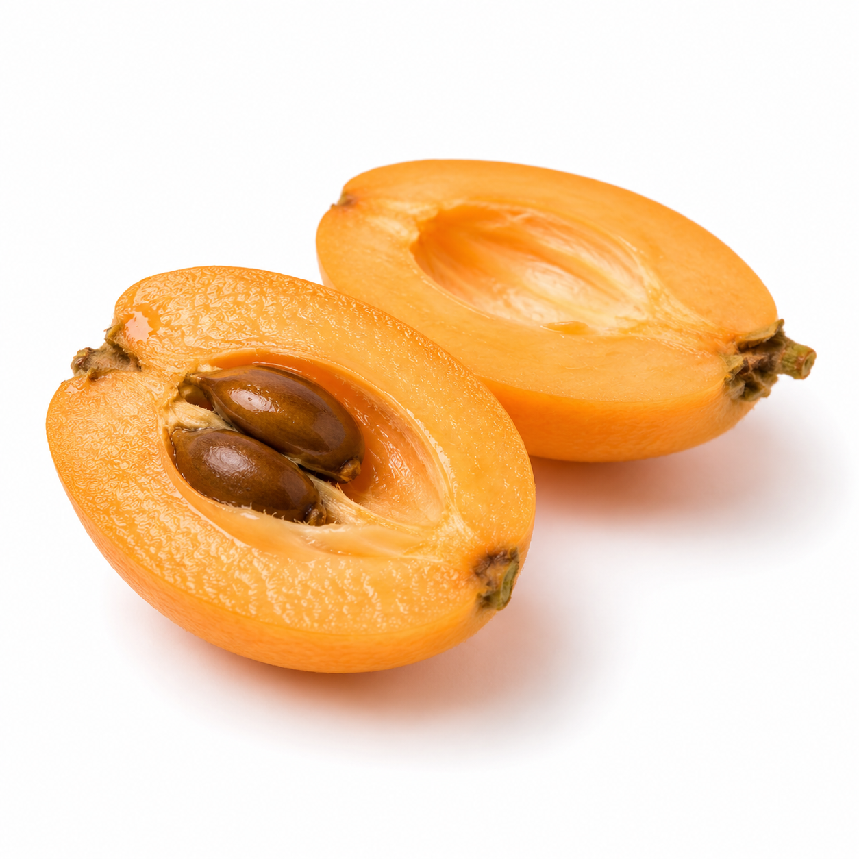 Loquat