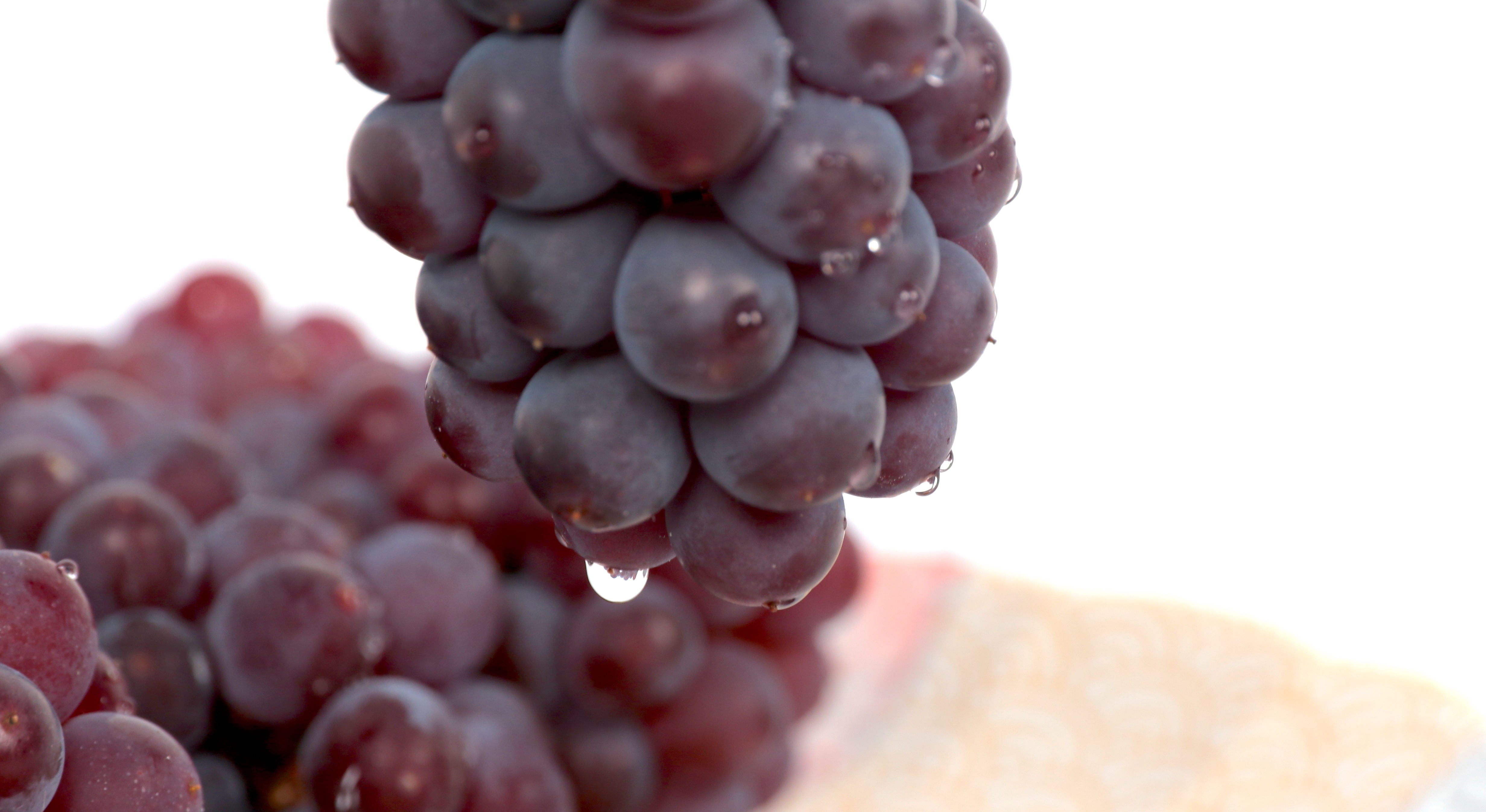 Grape