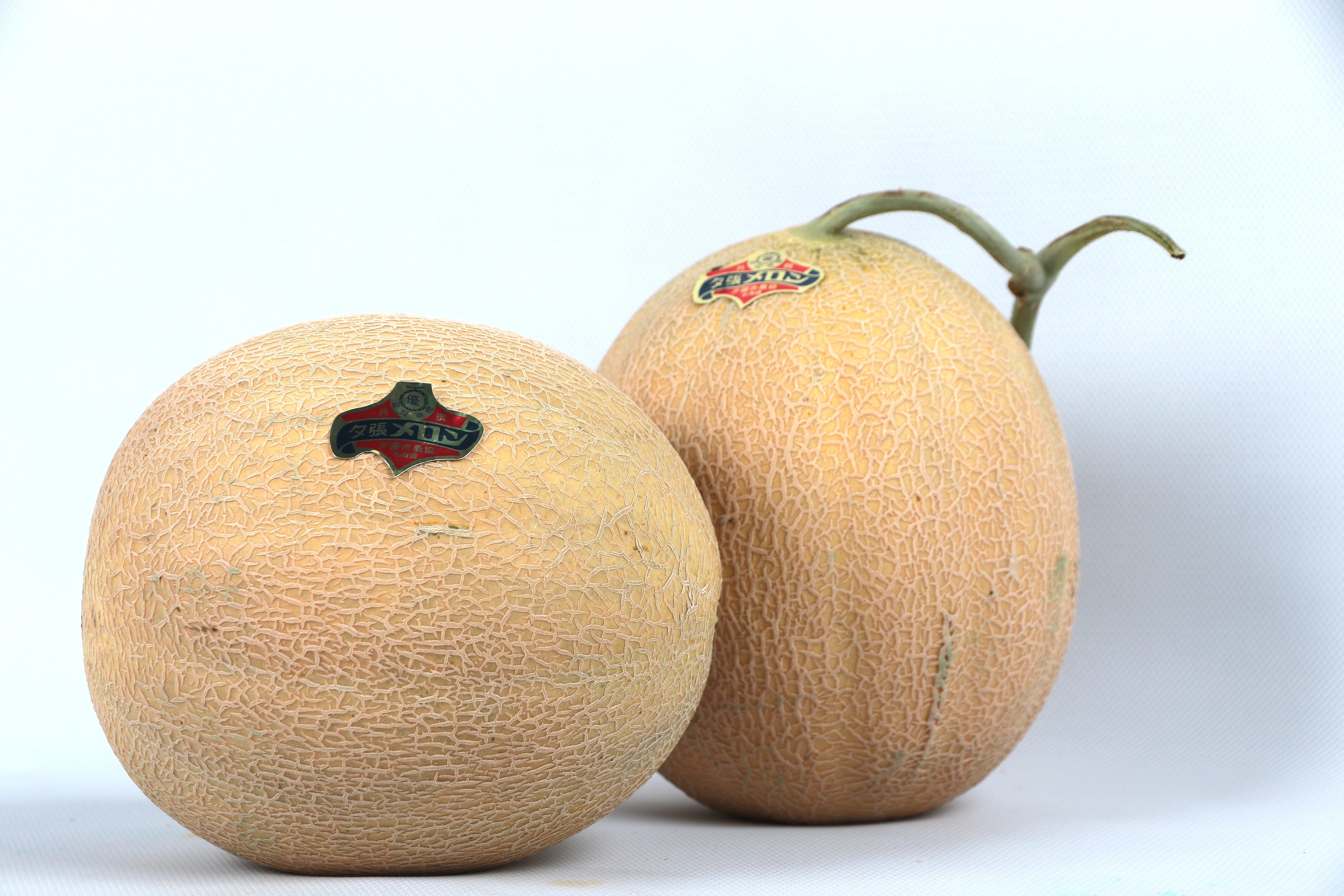 Melon